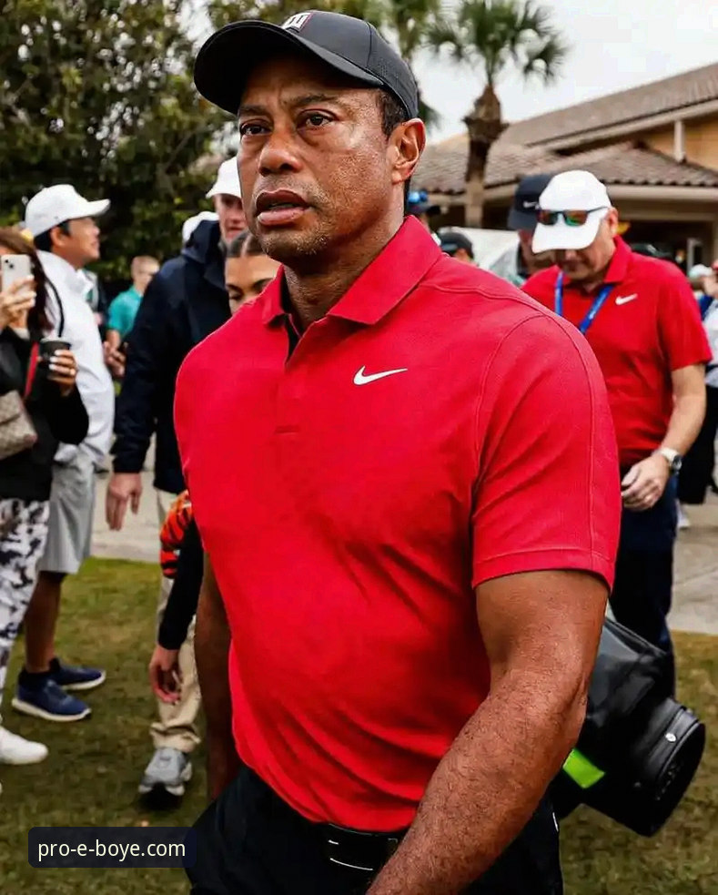 博业app官网便捷入口 高尔夫传奇伍兹药物影响驾驶事件详解:从赛场辉煌到人生低谷
